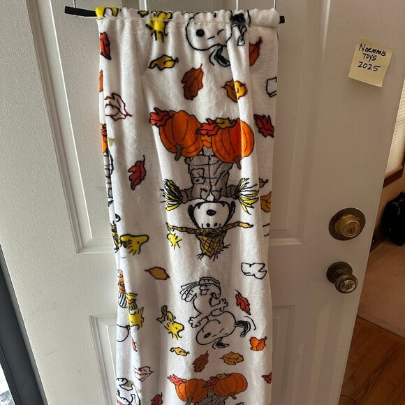 Peanuts Snoopy & Woodstock Fall Pumpkin Pilgrim Thanksgiving Pie Blanket2025 NWT - Picture 2 of 4